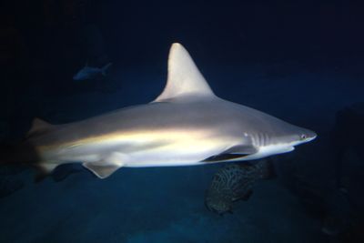 IMG 0855.JPG